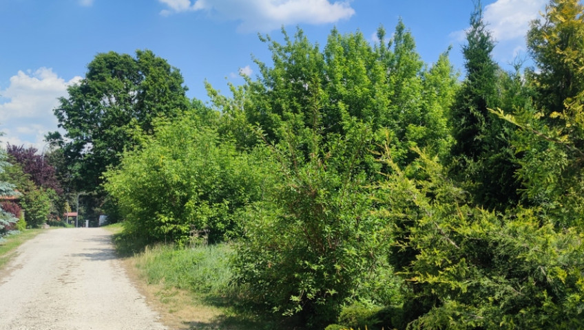 Działka Sprzedaż Wiktorów